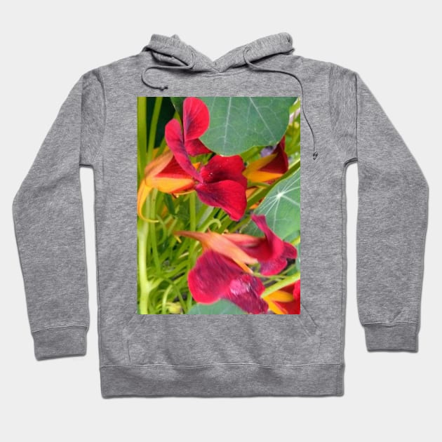 Red Nasturtium Hoodie by Hajarsdeco